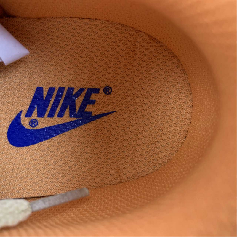 Dunk Low Orange Blue